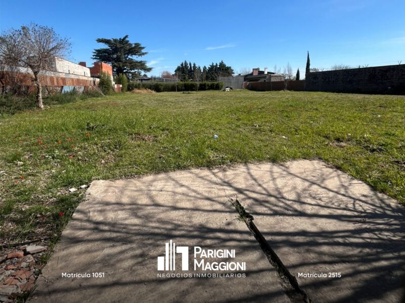 Terreno en Venta en Villa Constitución