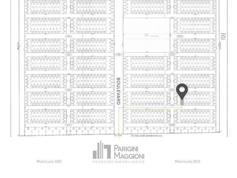 Lote 195 en Venta Villa Don Carlos