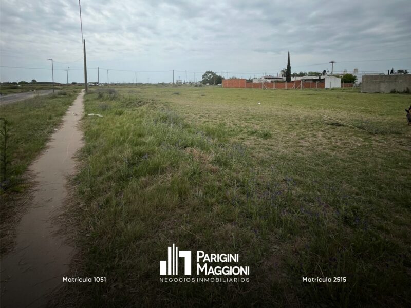 11 Terrenos en Venta