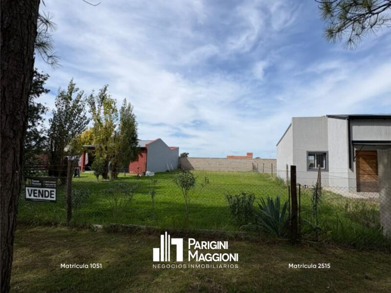 Lote en Venta - Theobald